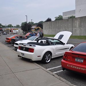 DSC 0015
