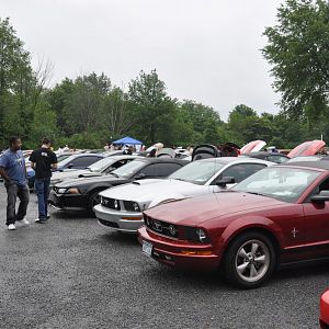 DSC 0035