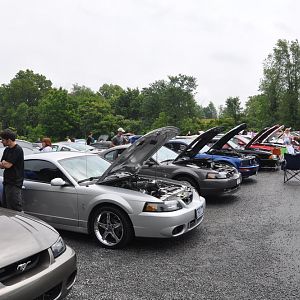 DSC 0042