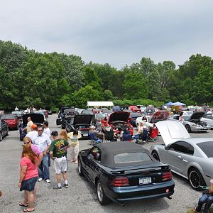 DSC 0075