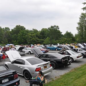 DSC 0077