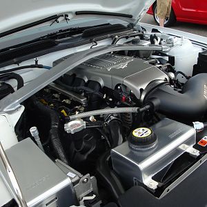DSC00487