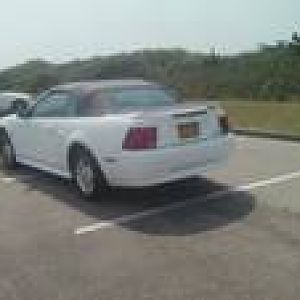 vert 2000  222
