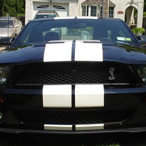 Mean front shot.