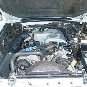 MustangPhotos 008