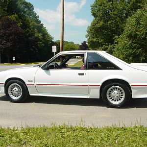 MustangPhotos 009