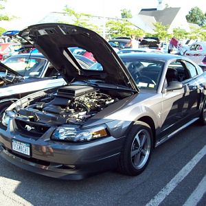 FIRST PLACE WINNER
AMERICAN MUSCLE CATEGORY
Adams Car Show June 8