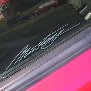 IMG 0970