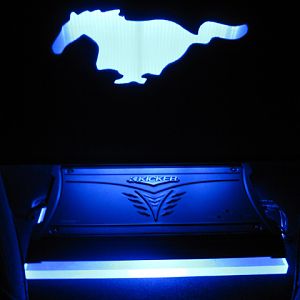 seat lit up