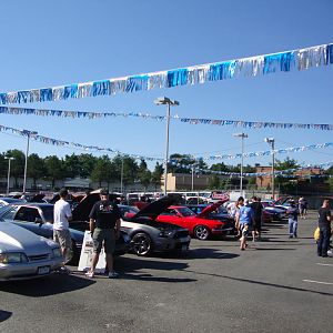 13800.jpg