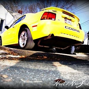 in my driveway