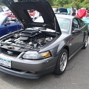 100 2491