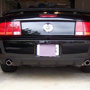 Mustang Pictures 001