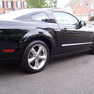 Mustang Pictures 004
