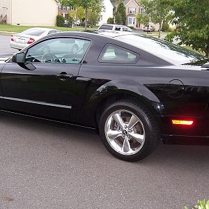 Mustang Pictures 011