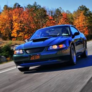 IMBOC Avatar