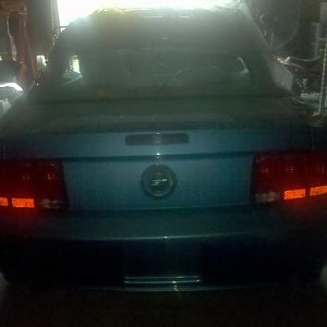 IMG 20101115 095222