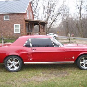 stang 005