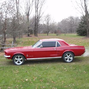 stang 001