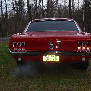 stang 006