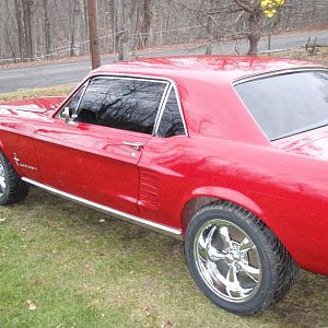 stang 007