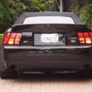 cobra rear