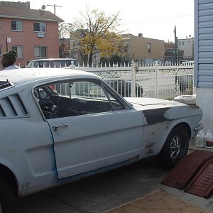 Mustang (5)