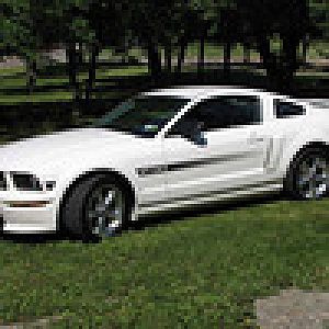 Stang2