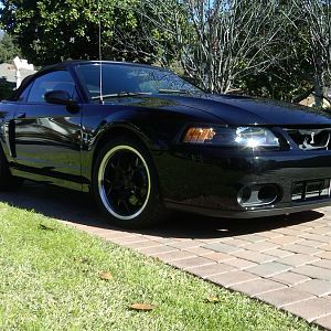 Cobra new rims low front passenger view