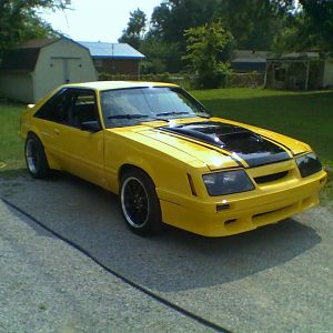 yellow basterd