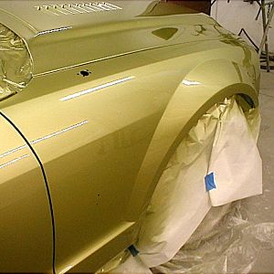 Painted