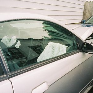 stang6