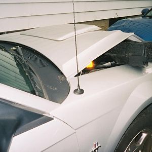 stang7