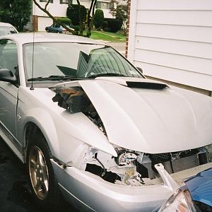 stang9