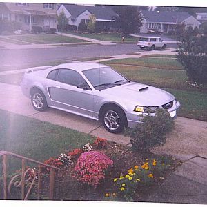 Stang