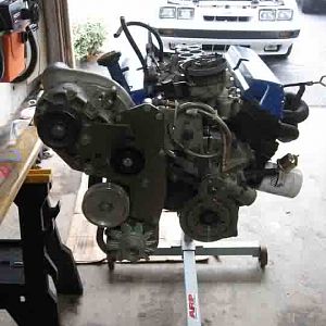 mustang 5.0 sc3