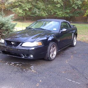 cobra12