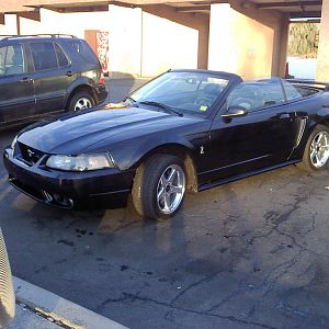 After a fresh wash