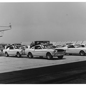 Cool old Shelby plant photo. Can you say Knock Down.