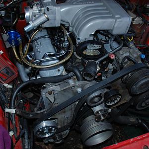 DSC 5490