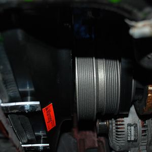 DSC 5501