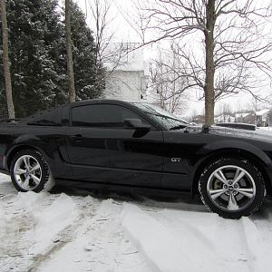 2008 GT Premium, 18" Bullits, Roush Louvres, Silver Horse Chin Splitter, Custom Splittter supports,Billett Strut Tower Covers, Billet Fuse Box, Limo T