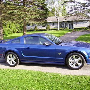 Stang Side