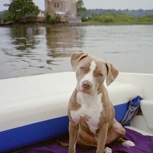 IMG017