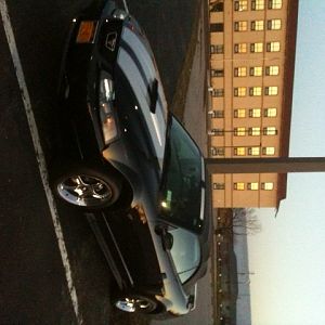 Stang finally out after a LONG winter!!!