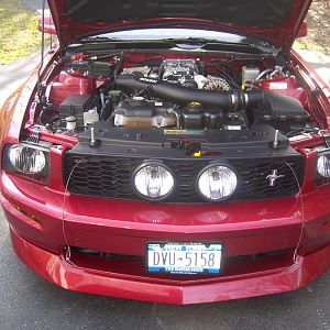 GEDC1903