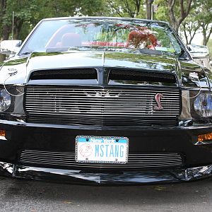 2006 mustang
