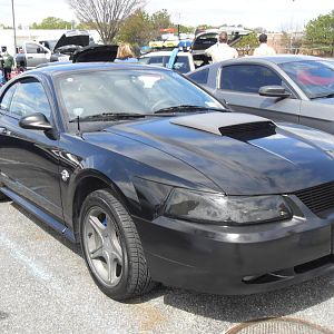 new stang pic