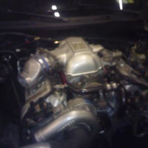 0318110009 01