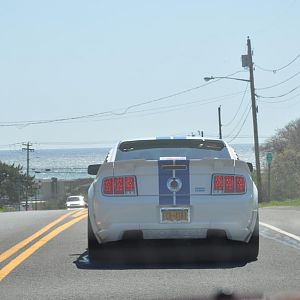 DSC 0336